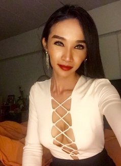 Sexynok - Transsexual escort in Bangkok Photo 5 of 6
