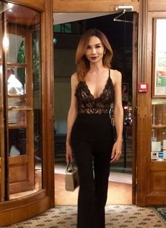 Sexynok - Transsexual escort in Bangkok Photo 6 of 6
