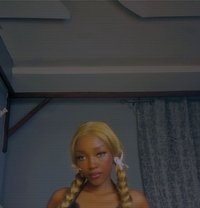 Sexyrosetta - puta in Mombasa