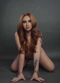Sexysafarah - Acompañantes transexual in Manila Photo 1 of 12