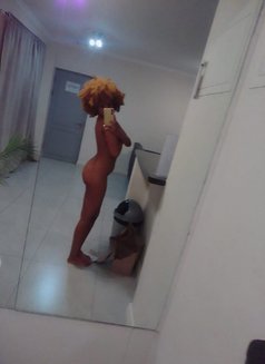 Sfuggente - Agencia de putas in Cape Town Photo 7 of 7