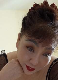 Sha Mi Nan - escort in Muscat Photo 2 of 7