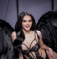 Shacha X - Acompañantes transexual in Phuket