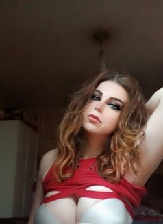 Shahd Arab Shemale - Transsexual escort in İstanbul Photo 3 of 9