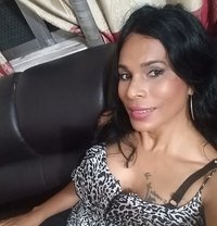 Sheril - Transsexual escort in Colombo