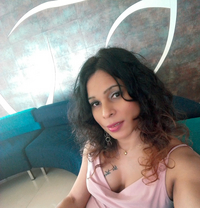 Sheril - Transsexual escort in Colombo