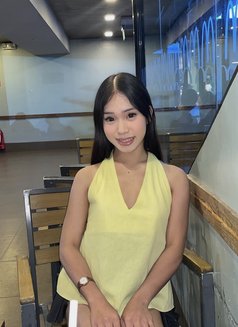 Shaine (Meet,Camshow,Content) - Transsexual escort in Manila Photo 2 of 6