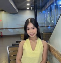 Shaine (Meet,Camshow,Content) - Acompañantes transexual in Manila