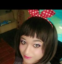 Shaini Das - Transsexual escort in Lucknow