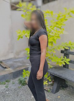 Shaini yashara 23yrs - escort in Colombo Photo 15 of 15