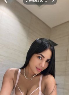 Shaira just Arrive🇵🇭 - escort in Riyadh Photo 4 of 7
