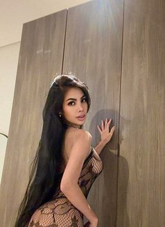 Shaira just Arrive🇵🇭 - escort in Riyadh Photo 7 of 9