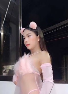 Shairaloves young sexy - escort in Manila Photo 16 of 16