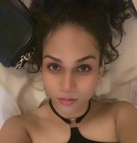 Shakeera - Transsexual escort in Colombo