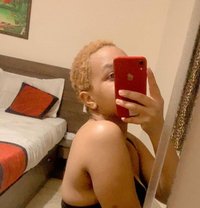 Shakira - escort in Jaipur