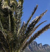 Sonia - escort in Cape Town