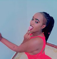 Shakira - escort in Riyadh