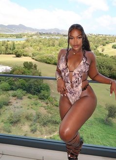 Shakirah Just Landed in Mumbai - escort in Mumbai Photo 2 of 4