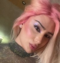 Shalimar Merhi - Transsexual escort in Beirut