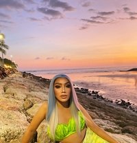 Shalsa Big Dick - Transsexual escort in Bali