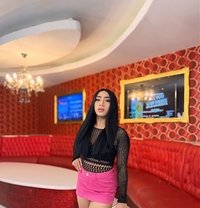 Shalsa Big Dick - Transsexual escort in Bali