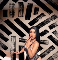 SHALSA THE QUEEN WITH 9INCHI COCK - Acompañantes transexual in Bali