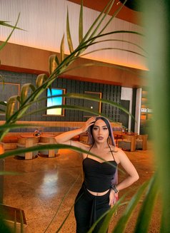 Shalsa Big Dick - Transsexual escort in Bali Photo 8 of 10