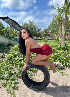 SHALSA THE QUEEN WITH 9INCHI COCK - Acompañantes transexual in Bali Photo 8 of 13