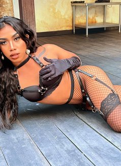 SHALSA THE QUEEN WITH 9INCHI COCK - Acompañantes transexual in Bali Photo 10 of 16