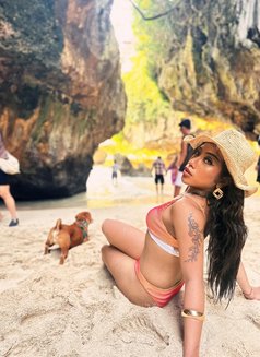 SHALSA THE QUEEN WITH 9INCHI COCK - Acompañantes transexual in Bali Photo 9 of 10
