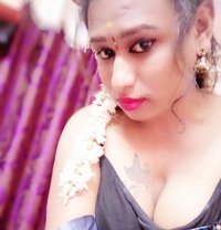 Shalushalu Shemale - Transsexual escort in Chennai