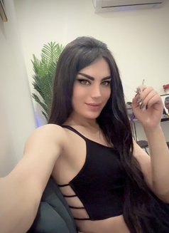 Sham - Acompañantes transexual in Erbil Photo 10 of 12