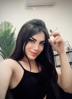 Sham - Acompañantes transexual in Erbil Photo 11 of 12