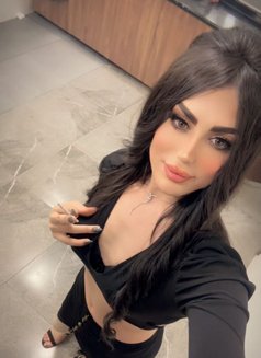 Sham - Acompañantes transexual in Erbil Photo 12 of 12