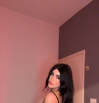 Shames - Transsexual escort in Beirut Photo 13 of 14