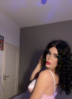 Shames - Acompañantes transexual in Beirut Photo 12 of 12