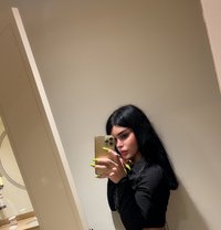 Shames - Transsexual escort in Beirut