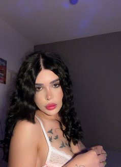 Shames - Transsexual escort in Beirut Photo 14 of 15