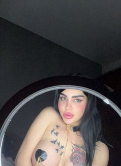 Shames - Transsexual escort in Beirut Photo 14 of 14