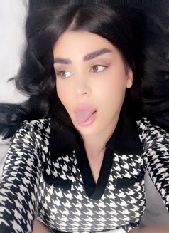 Shames - Transsexual escort in Beirut Photo 16 of 16