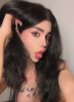 Shames - Transsexual escort in Beirut Photo 19 of 19