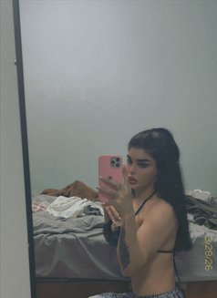 Shames - Transsexual escort in Beirut Photo 21 of 21