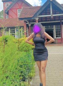 Shami Vip Costume S Only - escort in Colombo Photo 4 of 5