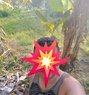 Shaminda 69 - Male escort in Colombo Photo 3 of 5