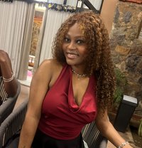 Shammy - escort in Noida