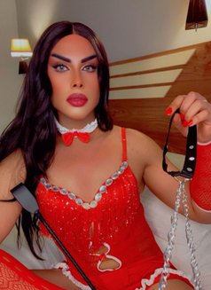 Shams - Transsexual dominatrix in Muscat Photo 3 of 7