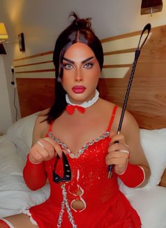 Shams - Transsexual dominatrix in Muscat Photo 4 of 7