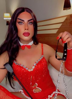 Shams - Male escort in Muscat Photo 1 of 5