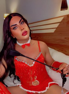 Shams - Male escort in Muscat Photo 2 of 5