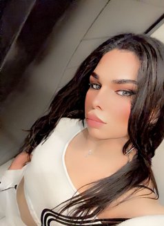 Shams - Transsexual escort in Cairo Photo 1 of 12